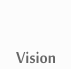 Vision